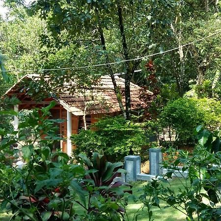 Leisure Vacations Whispering Woods Otel Madikeri Dış mekan fotoğraf