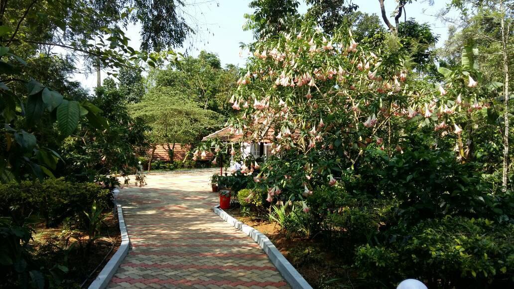 Leisure Vacations Whispering Woods Otel Madikeri Dış mekan fotoğraf