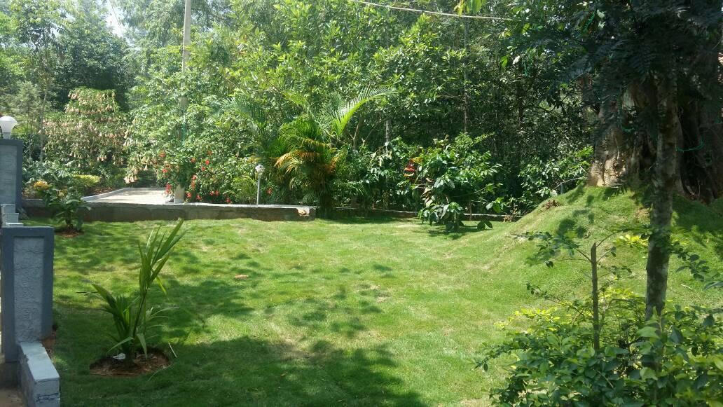 Leisure Vacations Whispering Woods Otel Madikeri Dış mekan fotoğraf